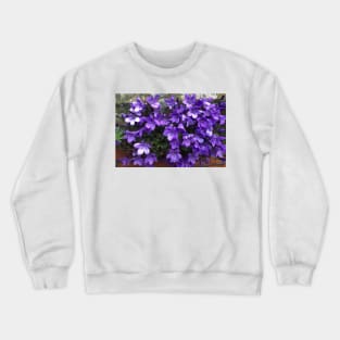 Siberian Bellflower on Garden Wall Crewneck Sweatshirt